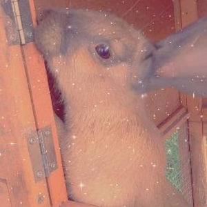 Meet your Posher, Heidi